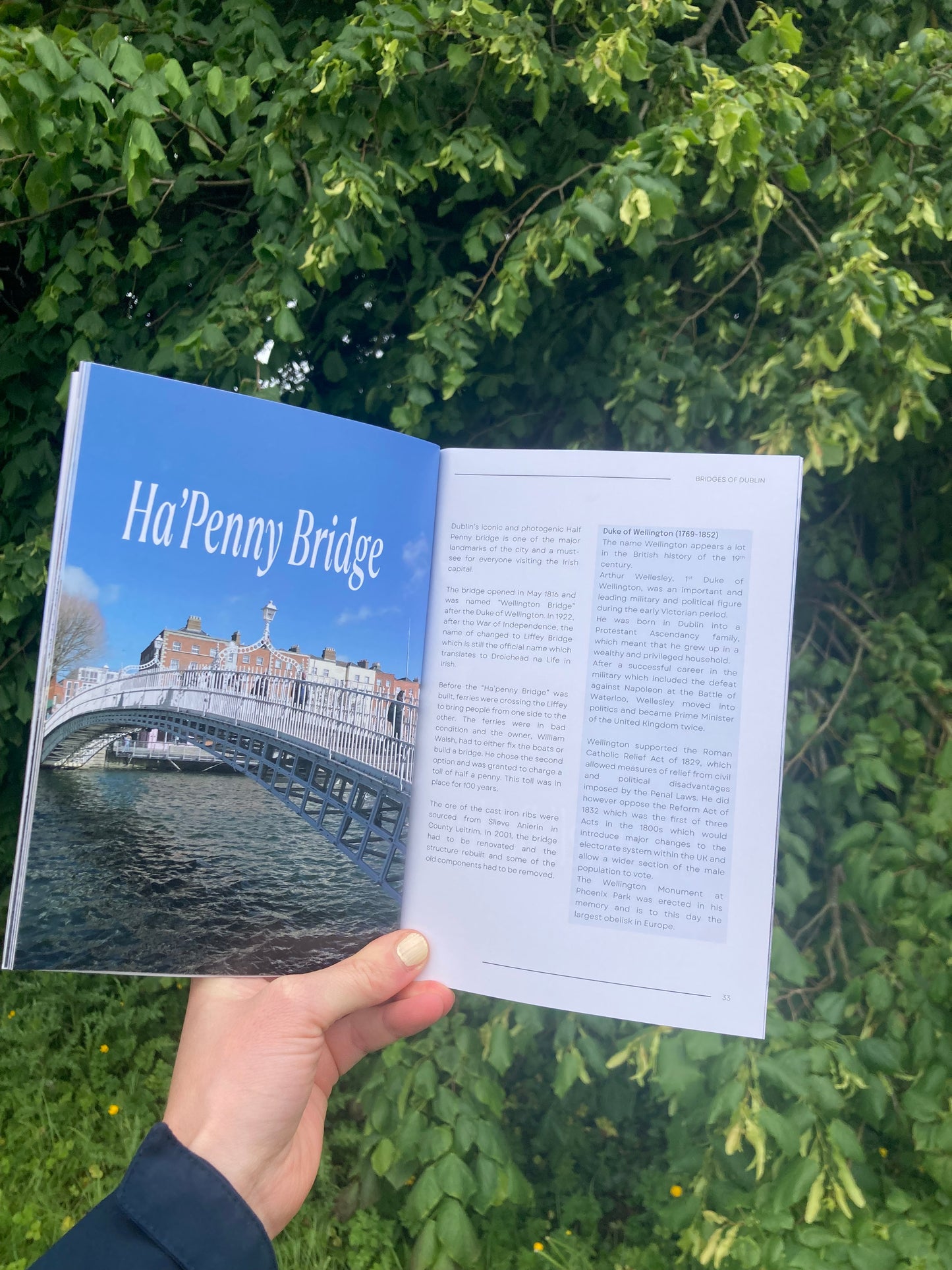 'Bridges of Dublin' Guide