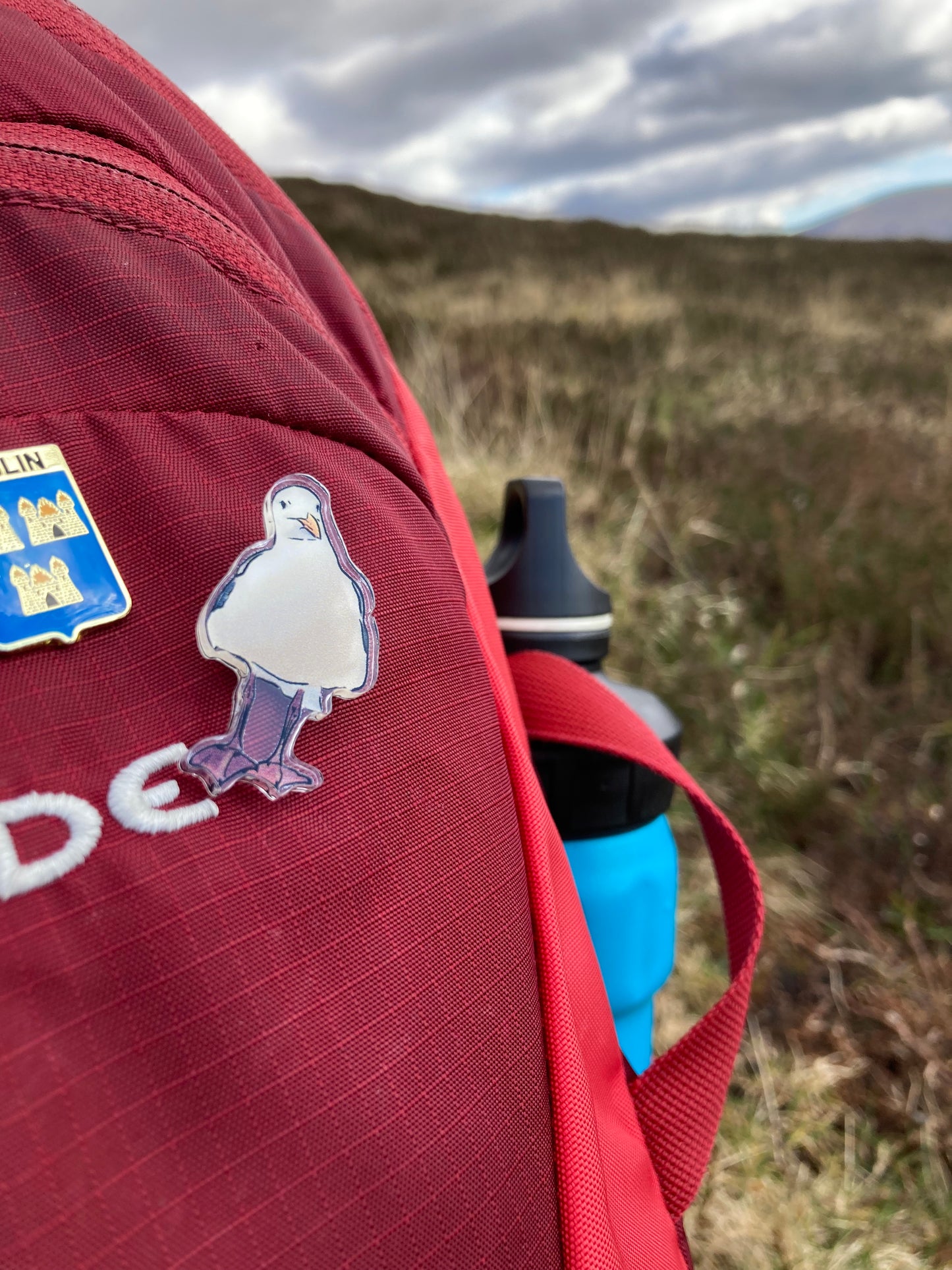 'Seagull' Acrylic Pin