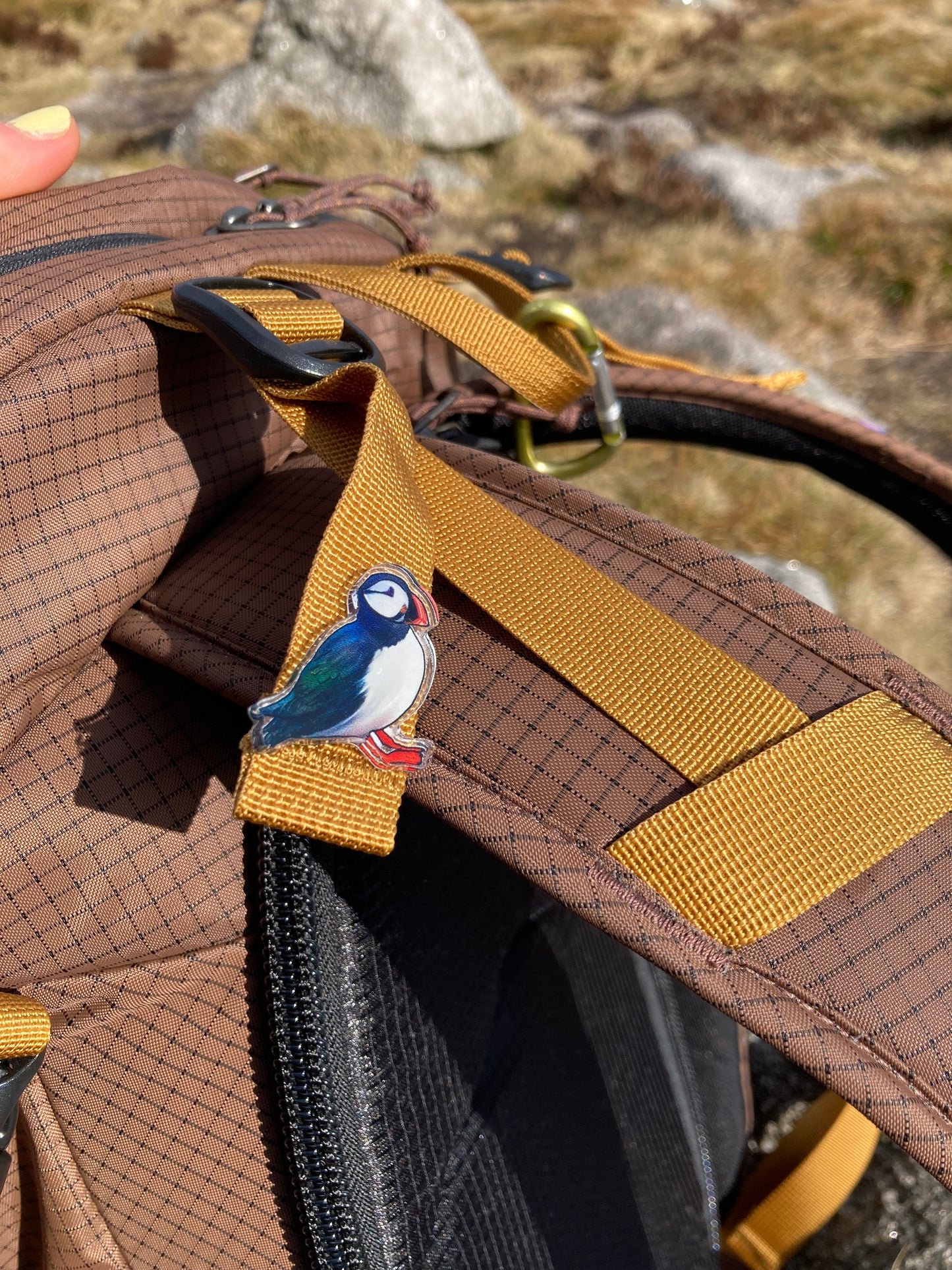 'Puffin' Acrylic Pin