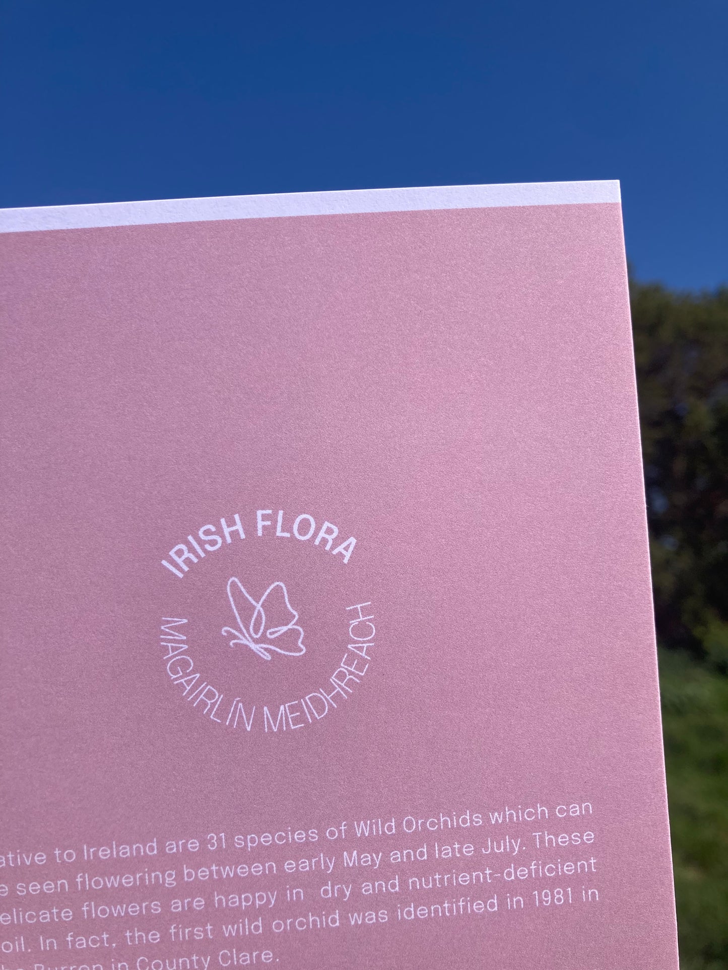 Greeting Card 'Wild Orchid' - Wishing You Happiness