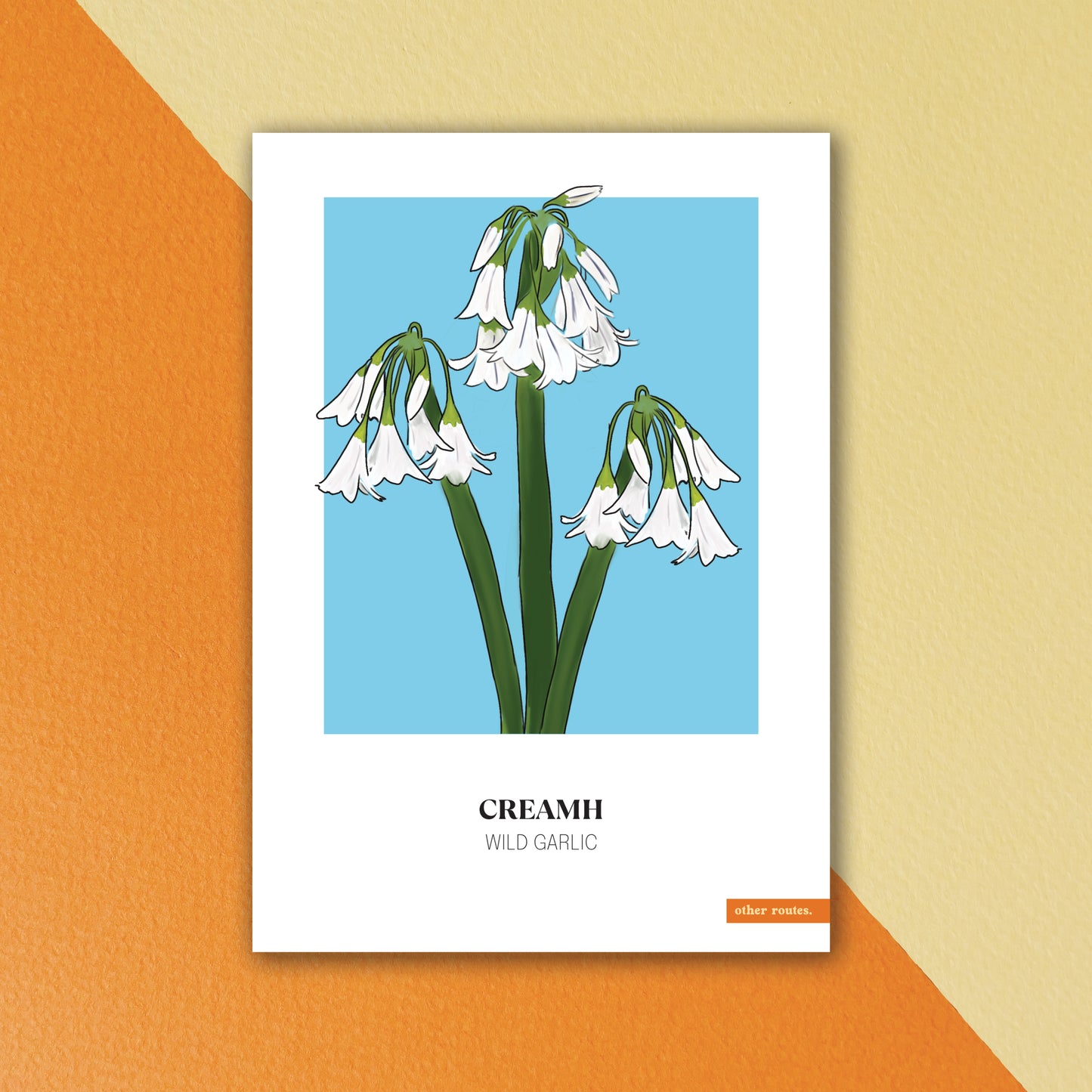 A5 Floral Print 'Wild Garlic'
