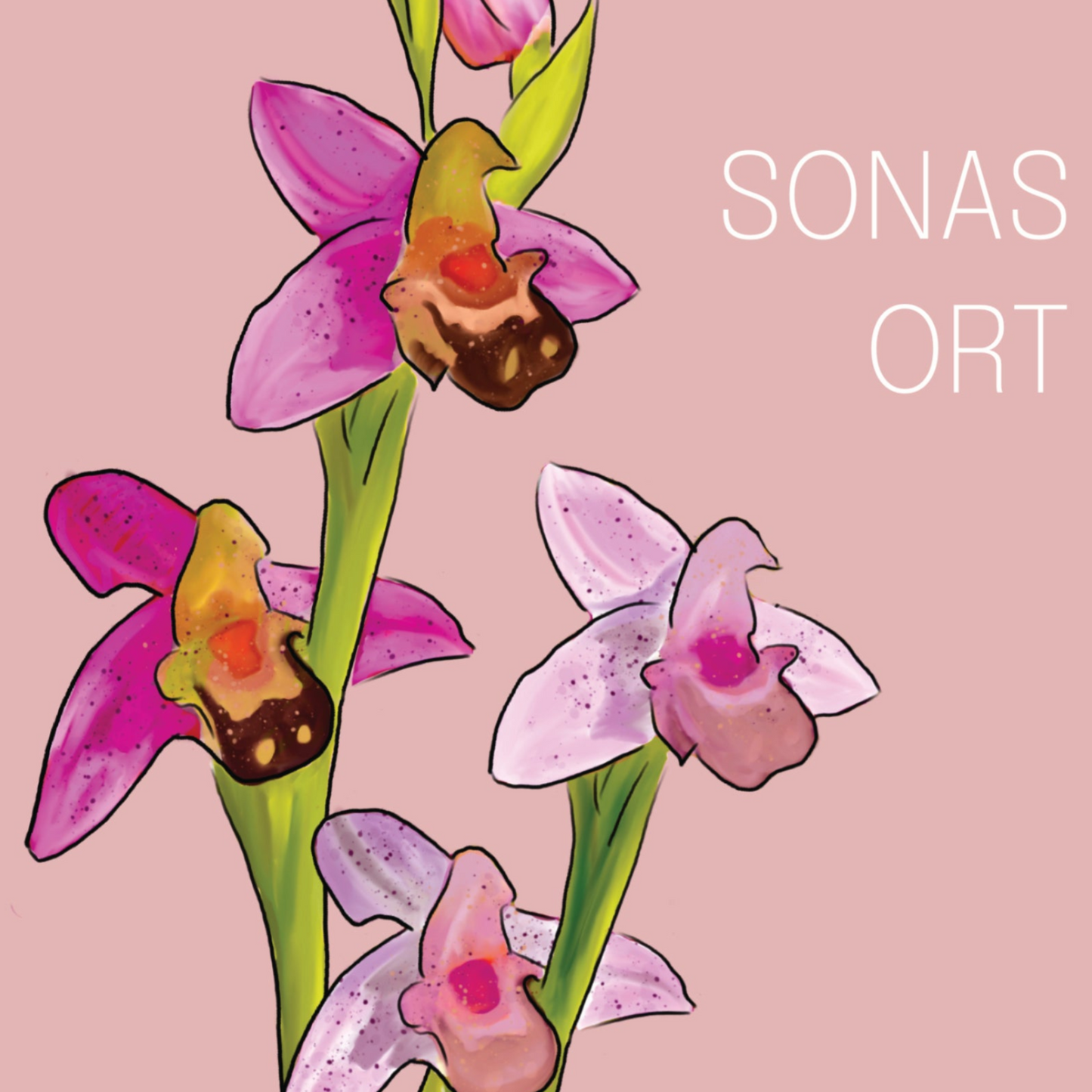 Greeting Card 'Wild Orchid' - Wishing You Happiness
