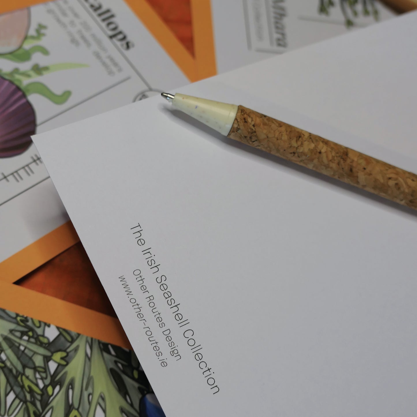 Irish Seashell Collection