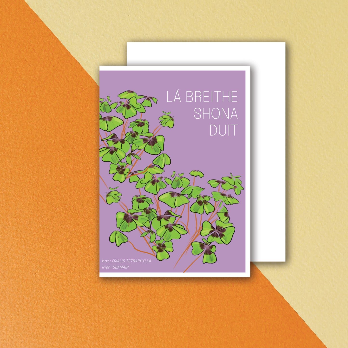 Birthday Card 'Shamrock' - Purple