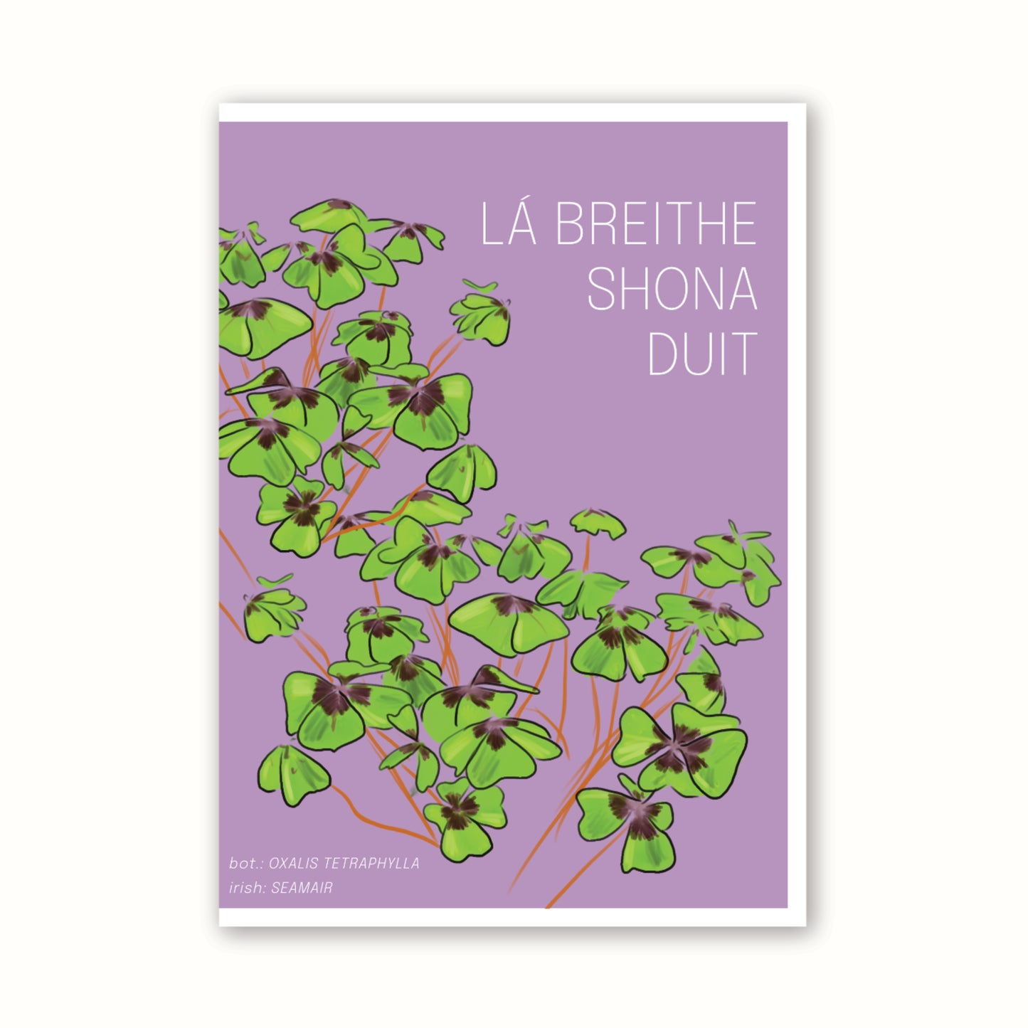 Birthday Card 'Shamrock' - Purple