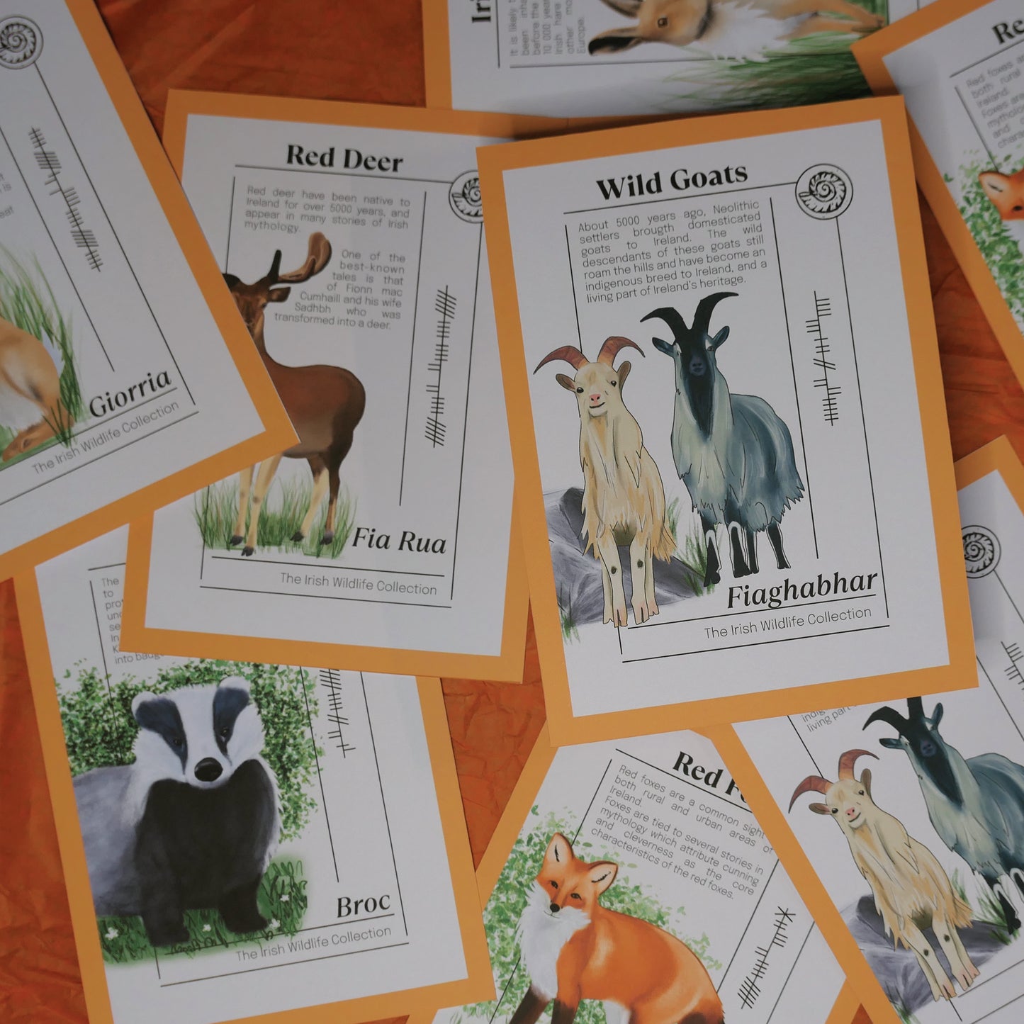 Irish Wildlife Collection