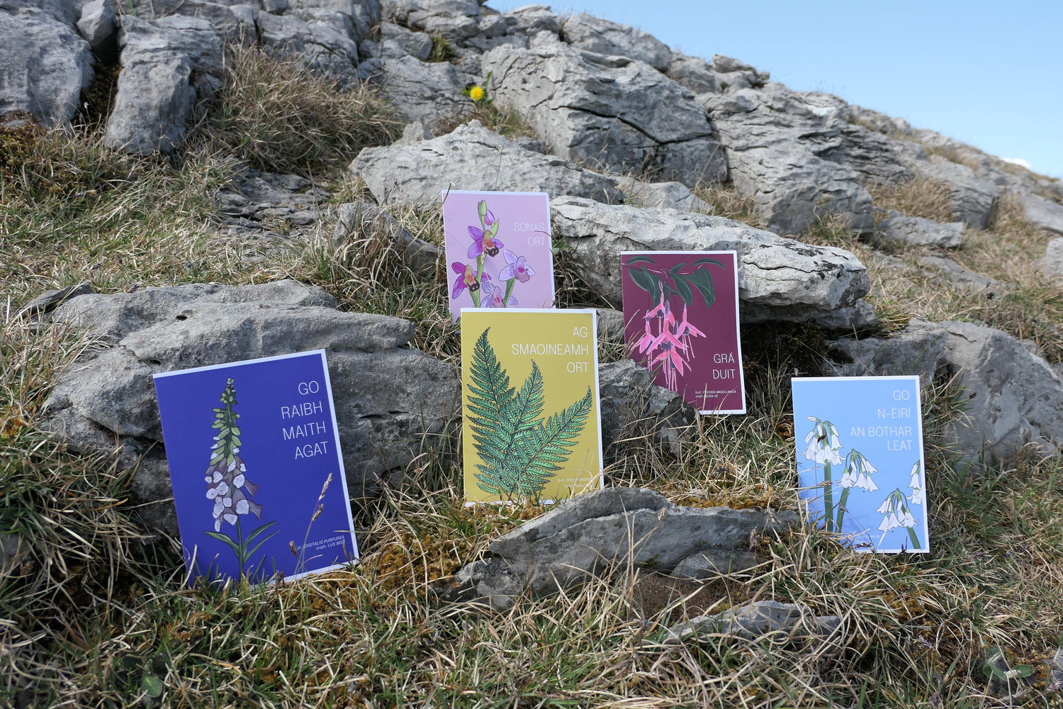 Greeting Cards - Irish Flora