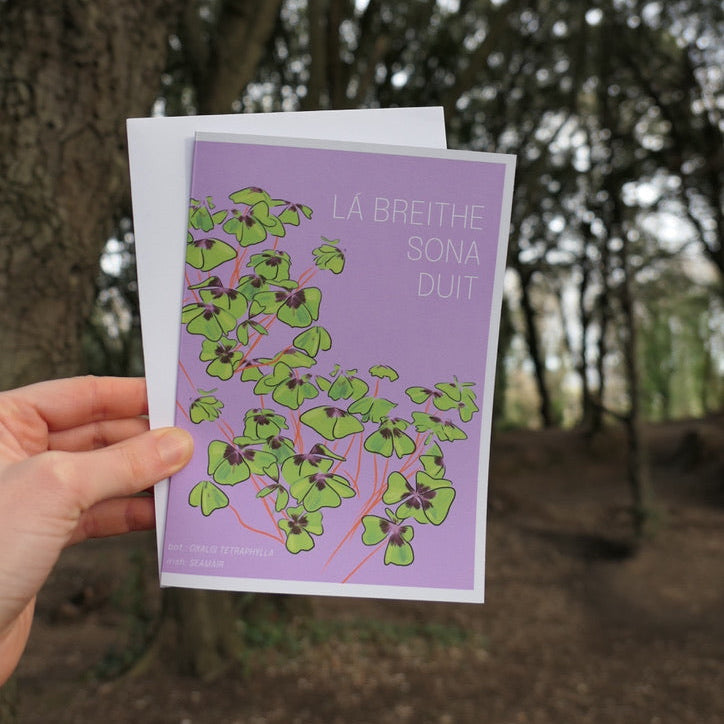 'Purple Clover': Happy Birthday