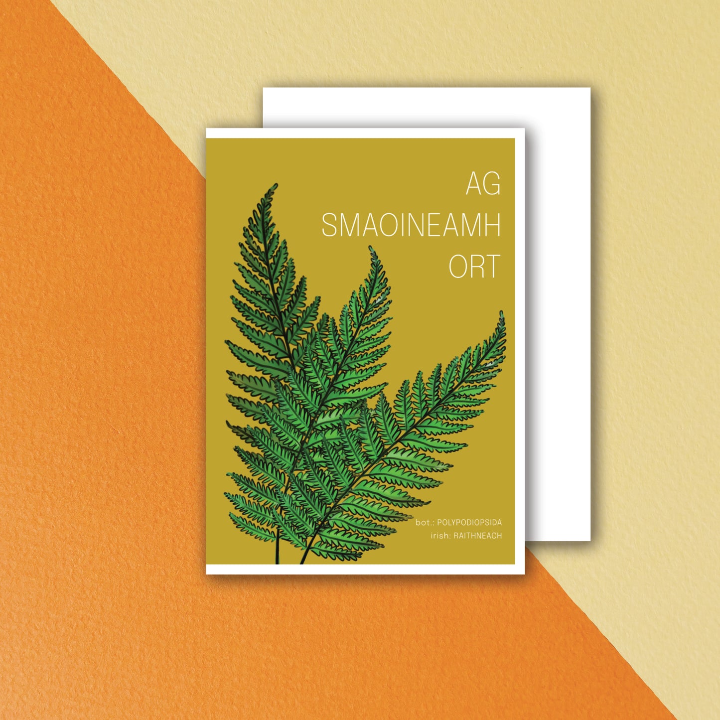 Fern: Thinking of You