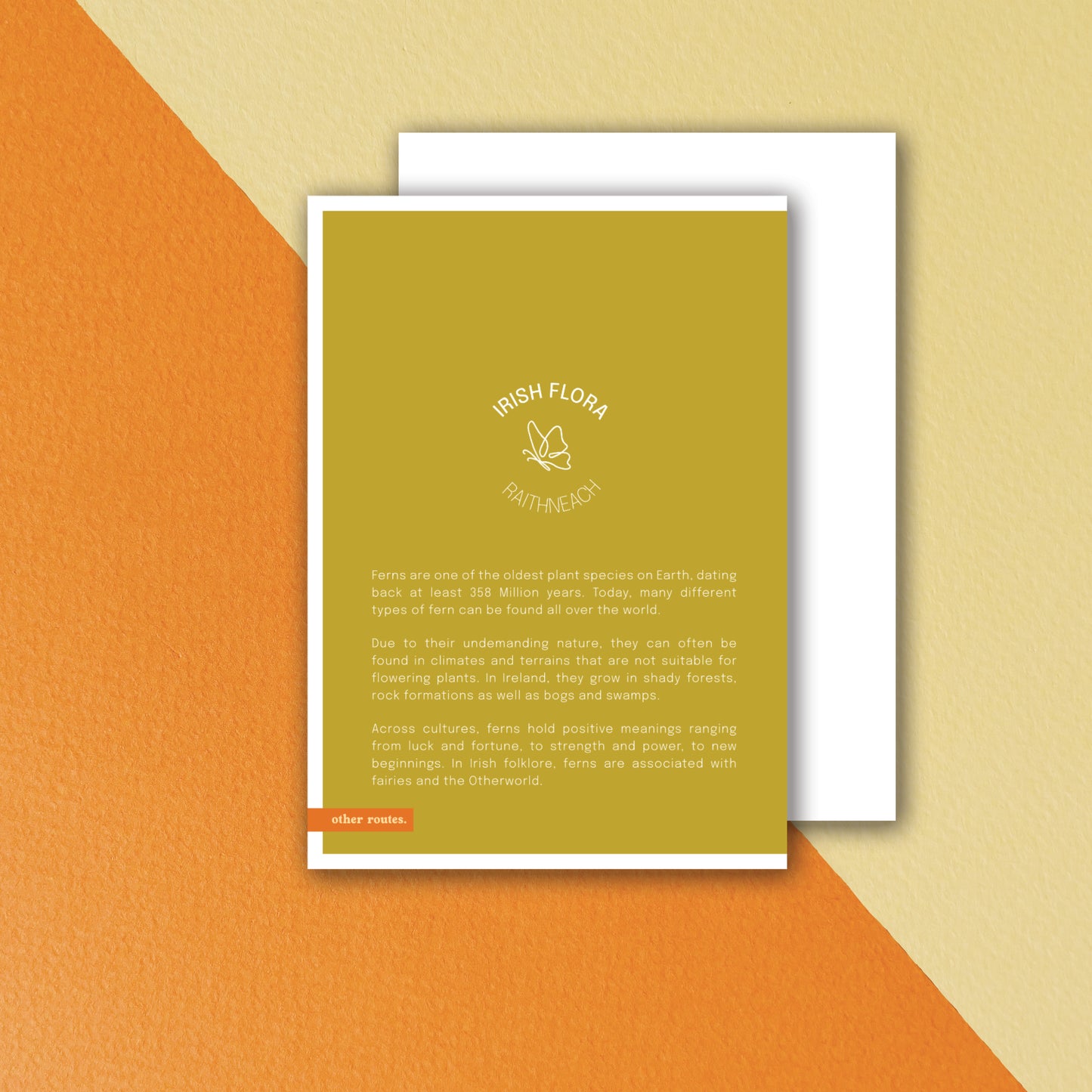 Fern: Thinking of You