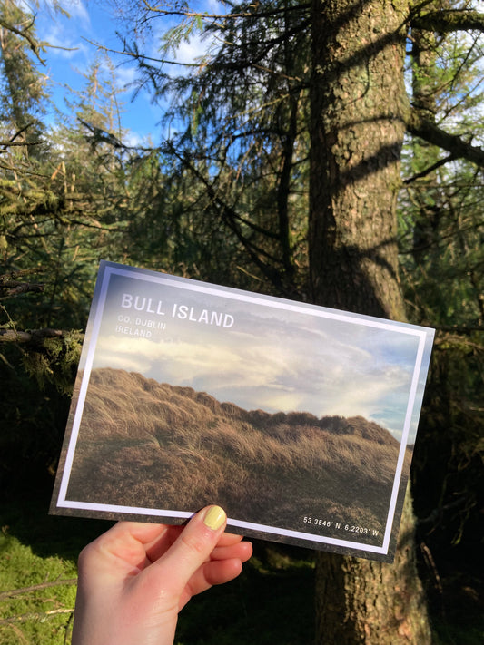 Keepsake Print | Bull Island (A5)
