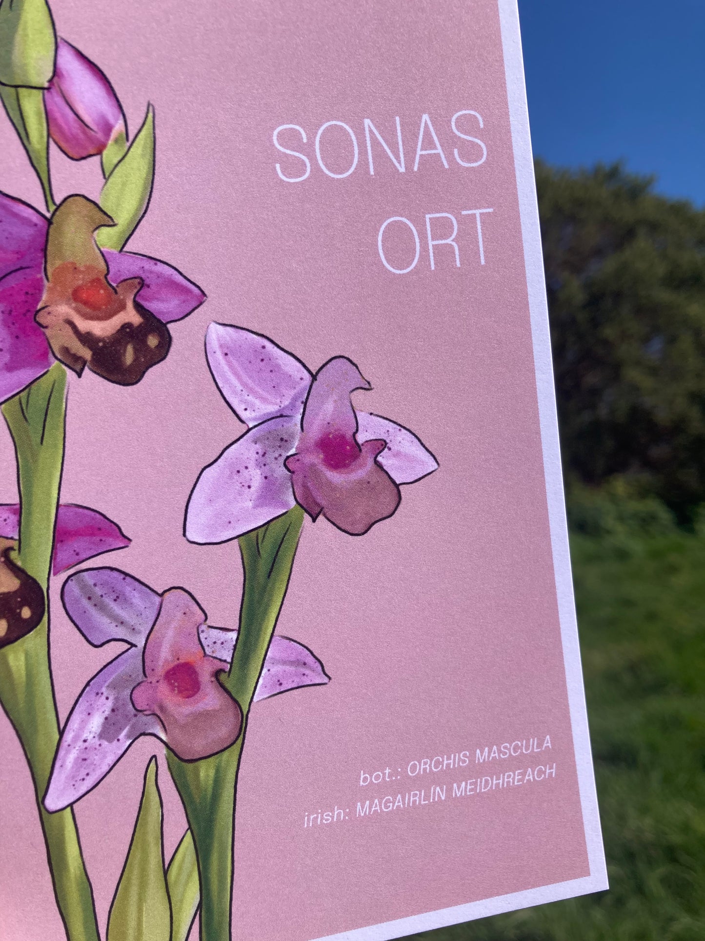 Greeting Card 'Wild Orchid' - Wishing You Happiness
