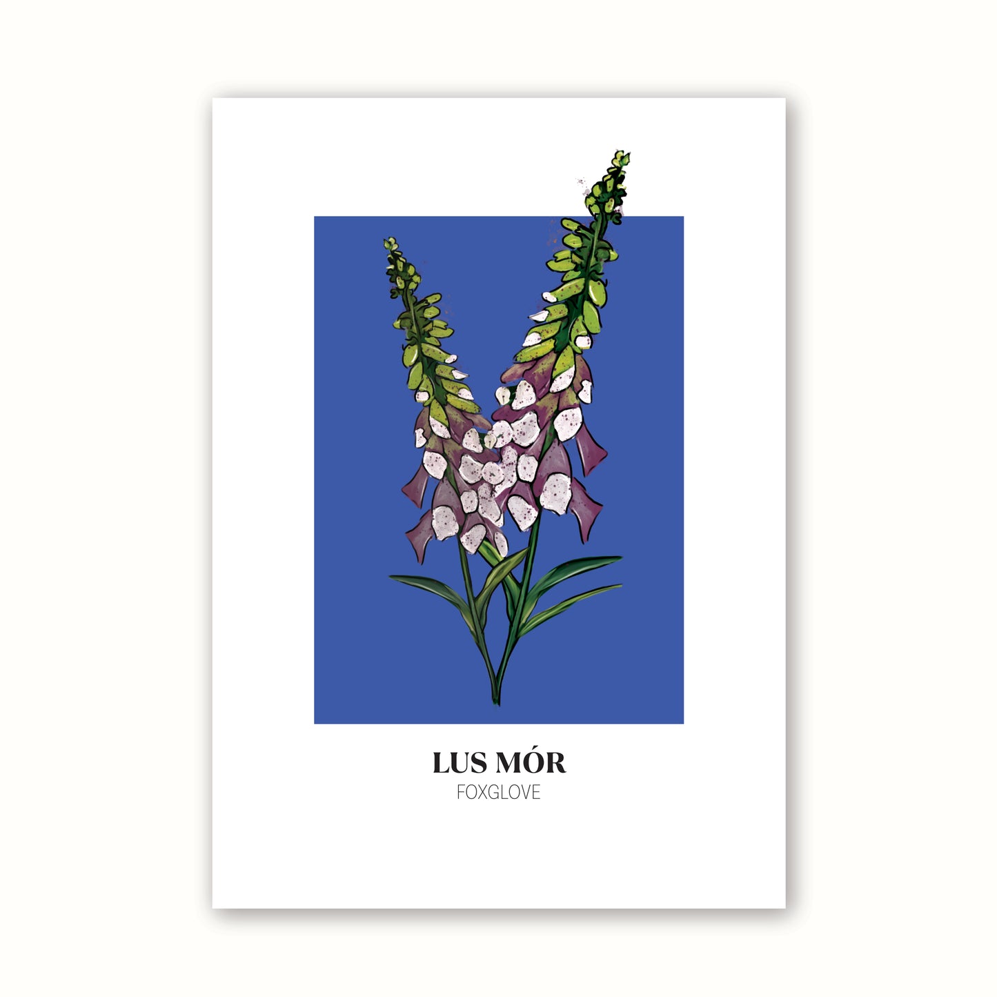 Floral Print 'Foxglove'