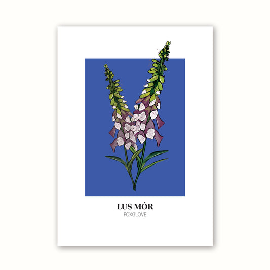 Floral Print 'Foxglove'