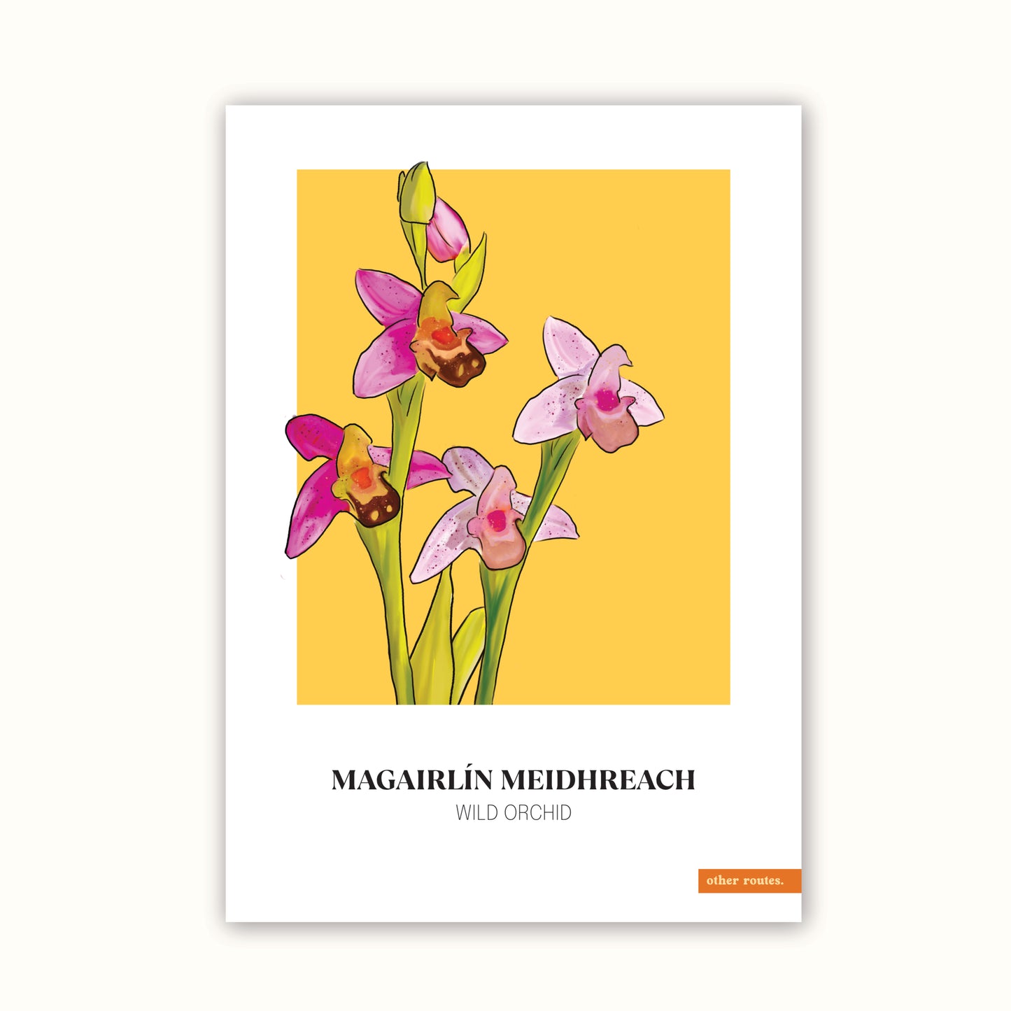 A5 Floral Print 'Wild Orchid'