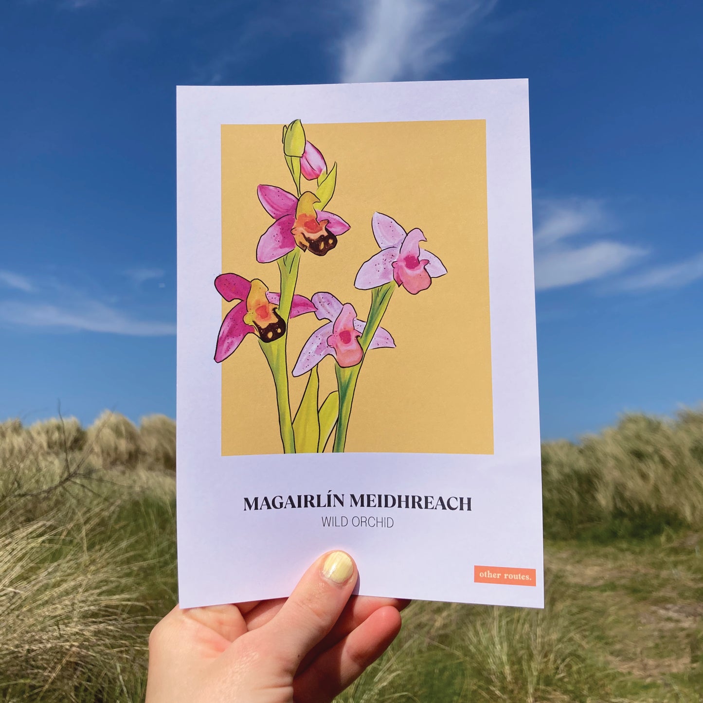 A5 Floral Print 'Wild Orchid'