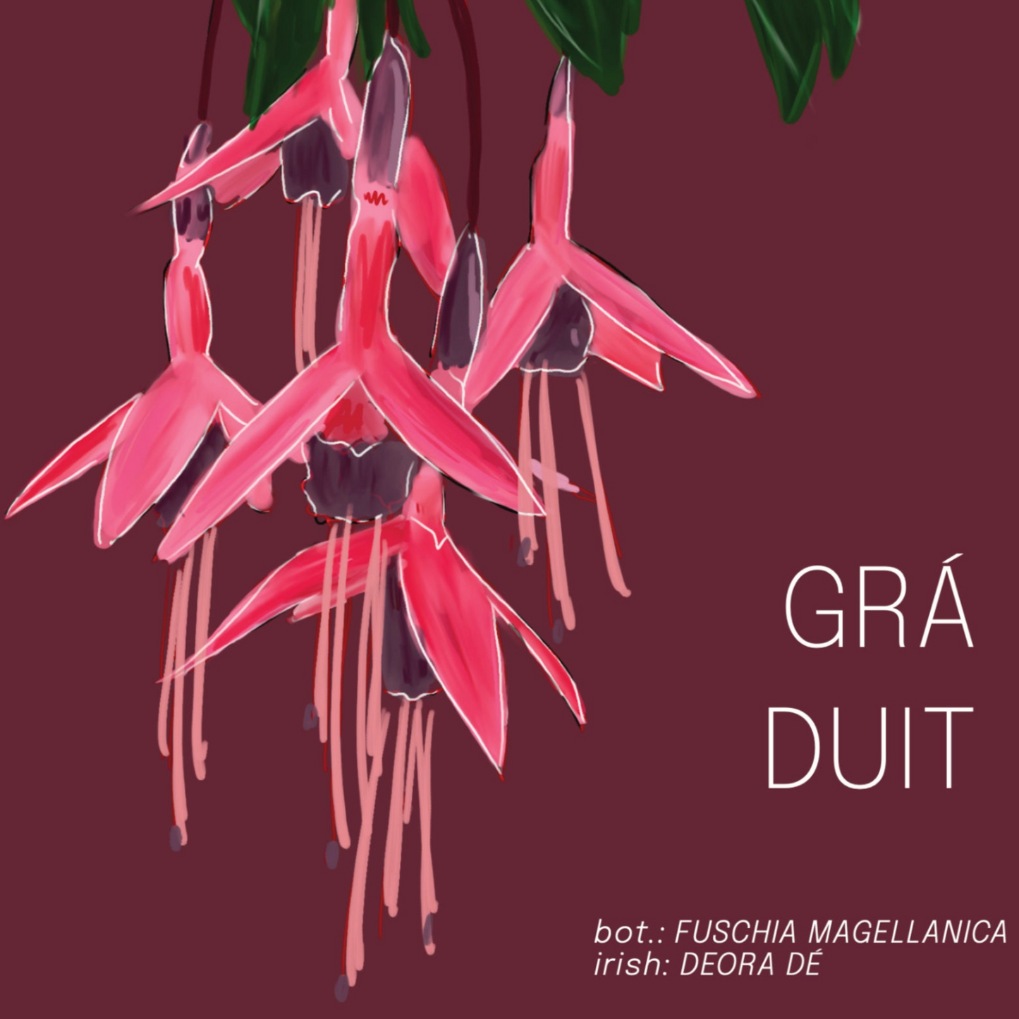 Fuchsia: Love to You