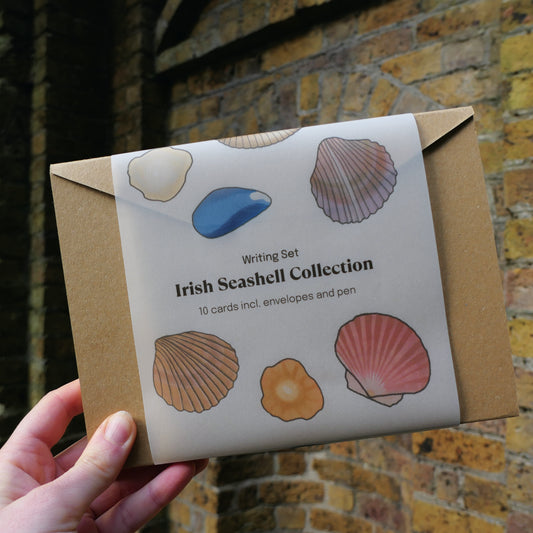 Irish Seashell Collection