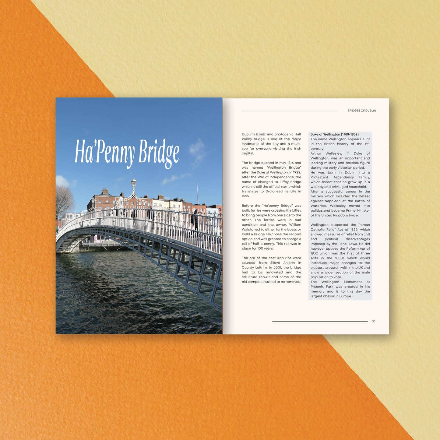 'Bridges of Dublin' Guide