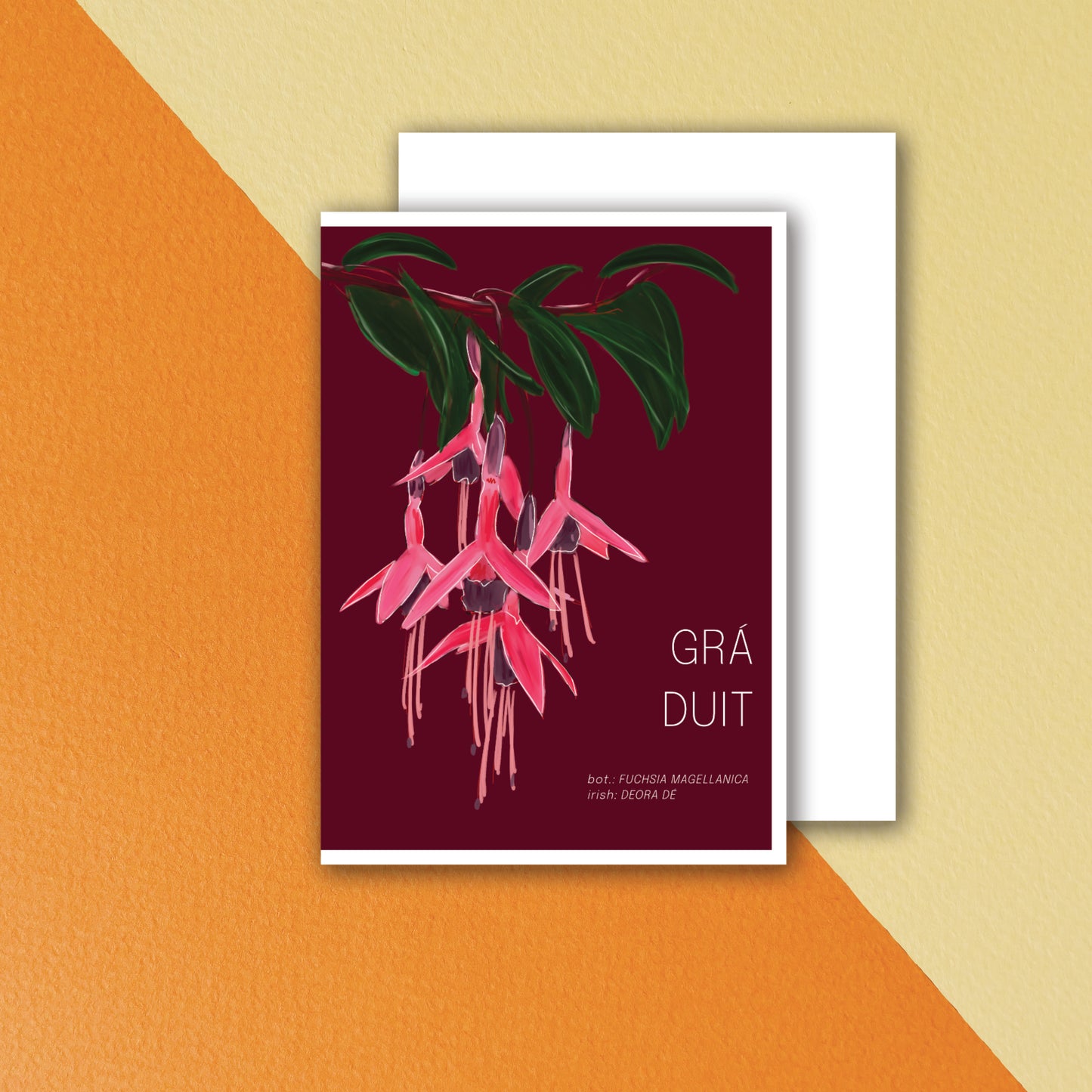 Fuchsia: Love to You