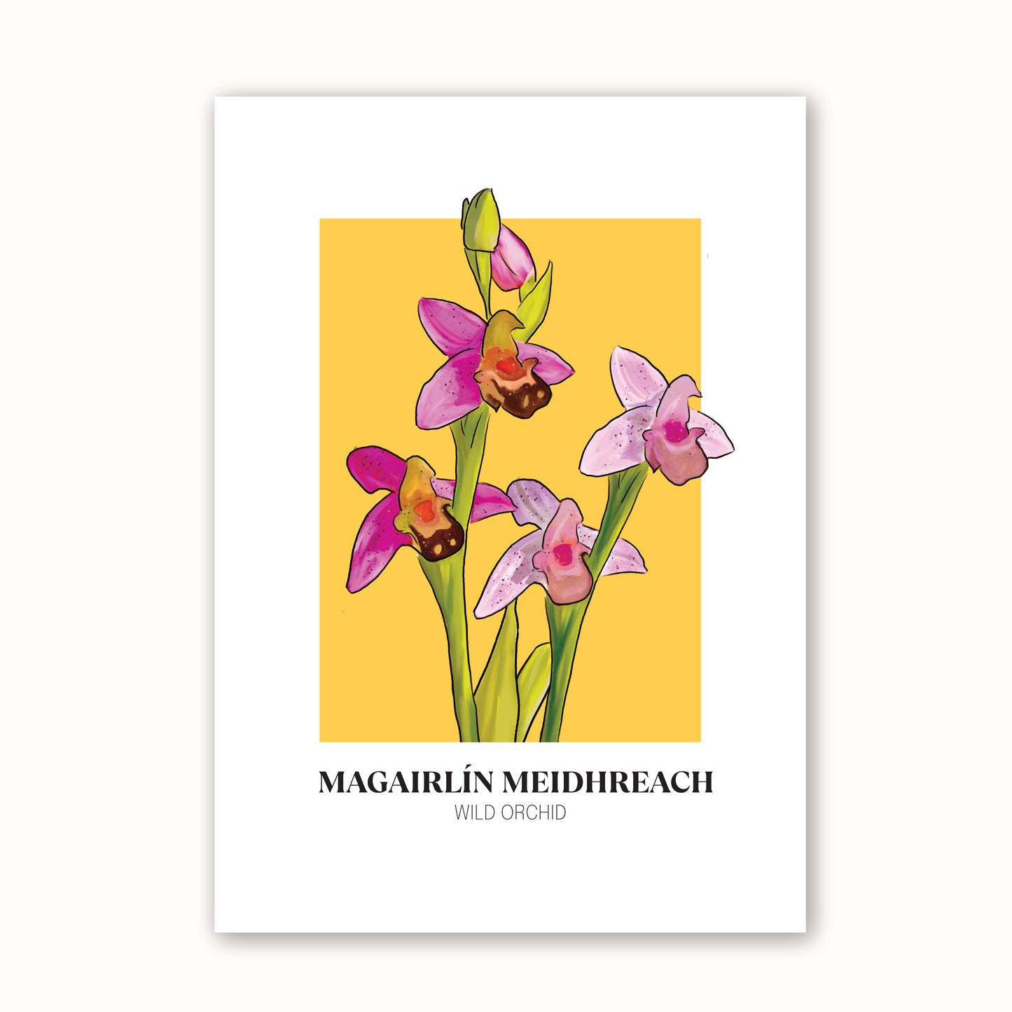 Floral Print 'Wild Orchid'