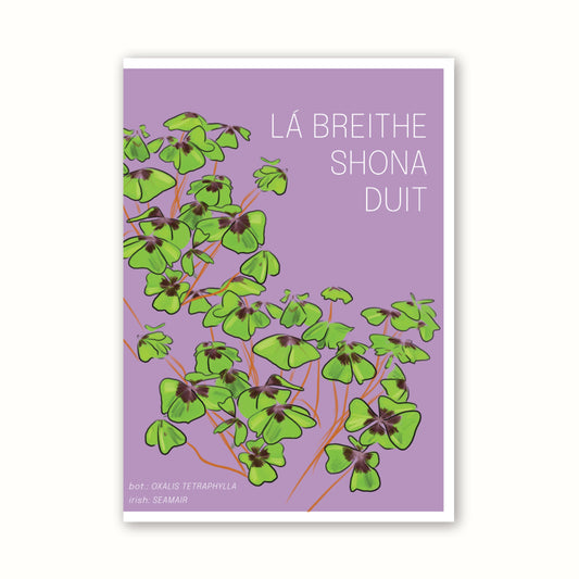 Birthday Card 'Shamrock' - Purple