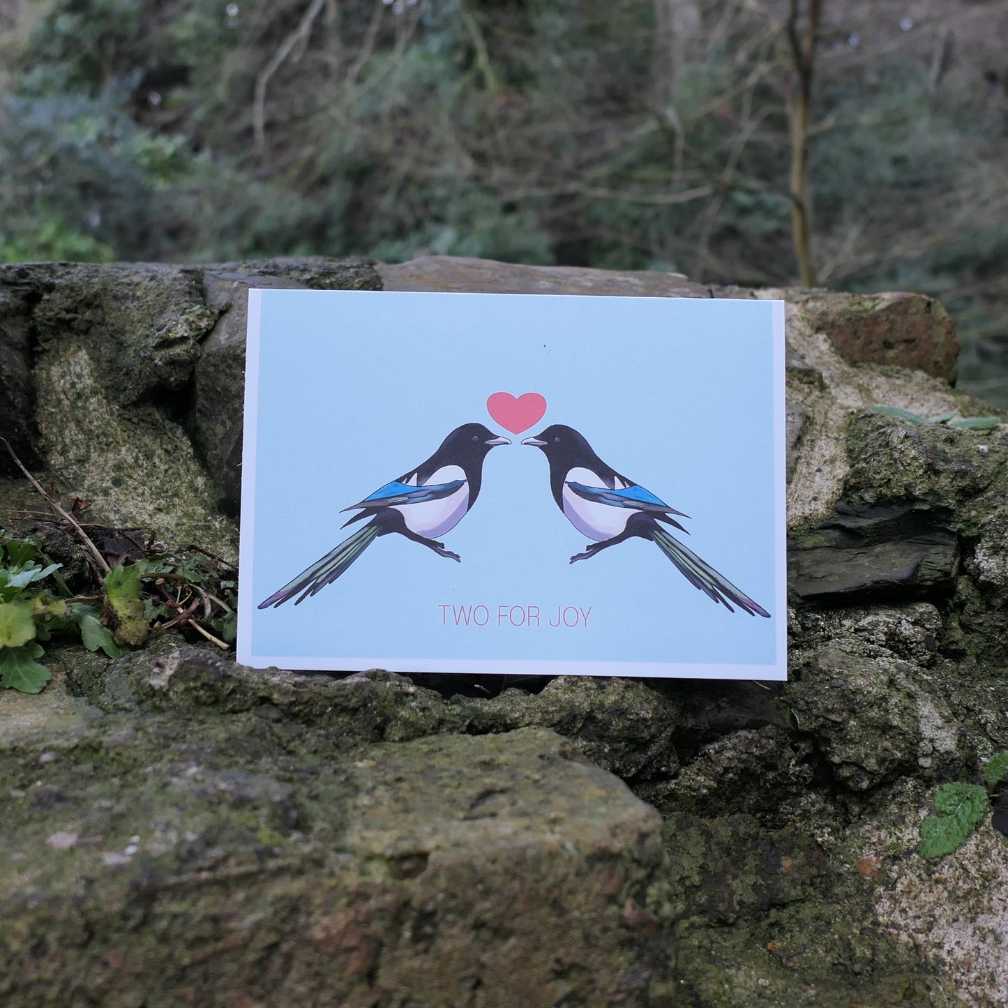 Valentine's: Two for Joy