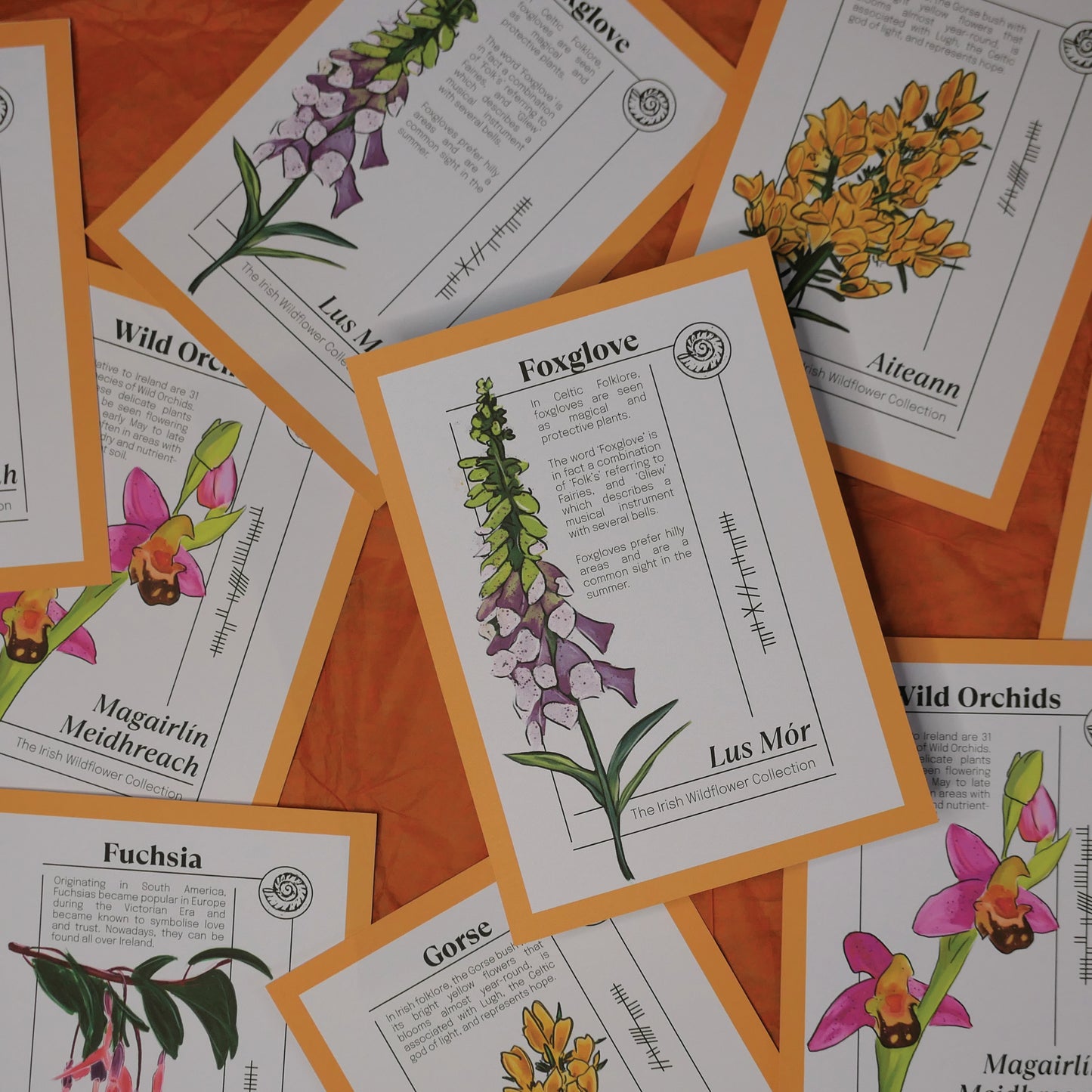 Irish Wildflower Collection