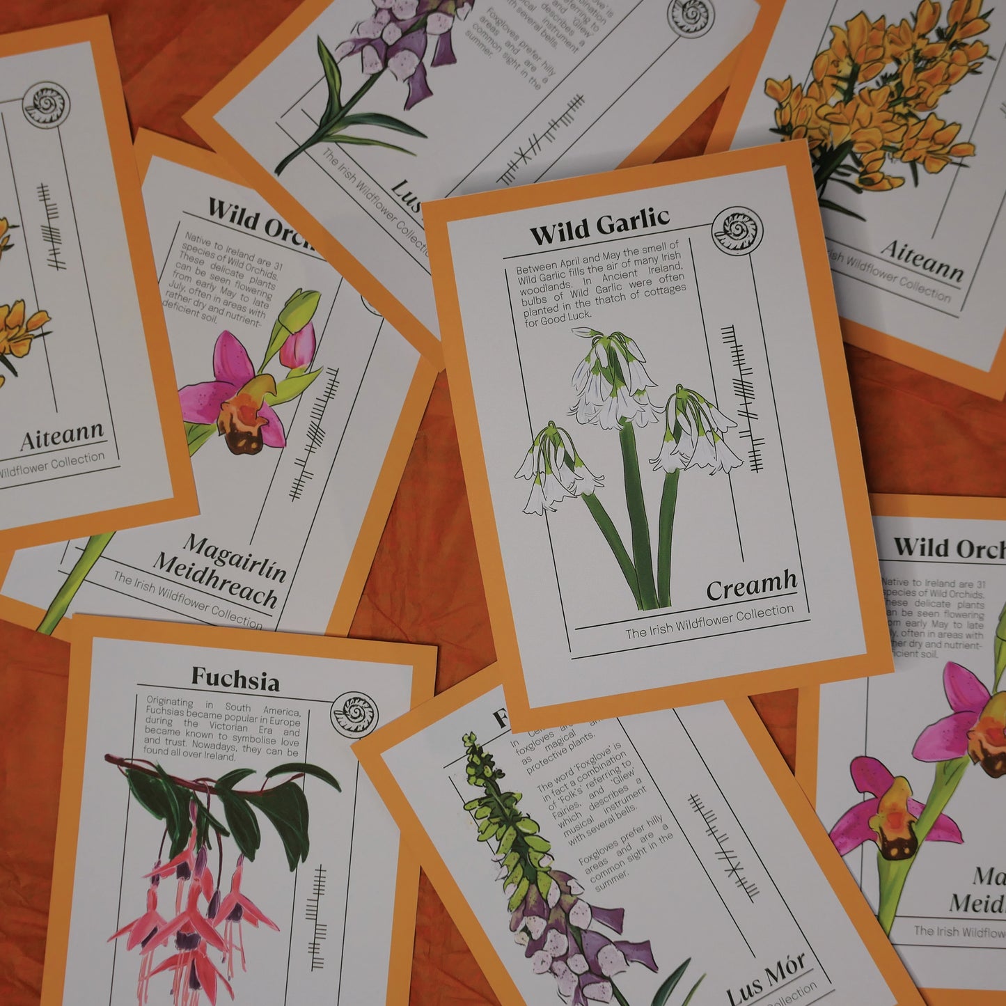 Irish Wildflower Collection